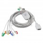 Câble patient ECG DMS Repos/Effort 10 brins à pinces