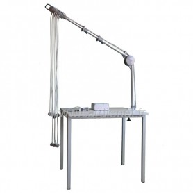 Electrodes à aspiration DT80 bras télescopique Strässle