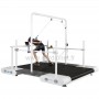 Tapis d'effort grande taille Lode Valiant Ultra