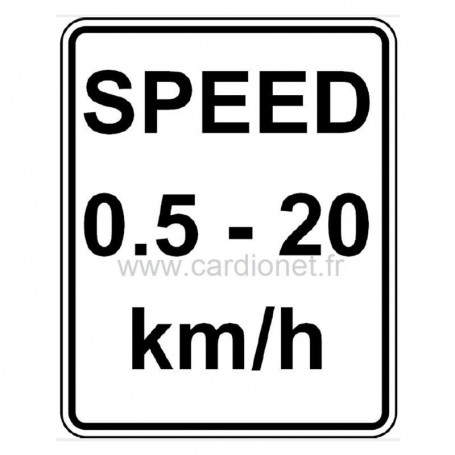 Option 20 km/h pour tapis Valiant 2 Rehab Lode